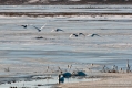 094_Biebrza - marzec 2013